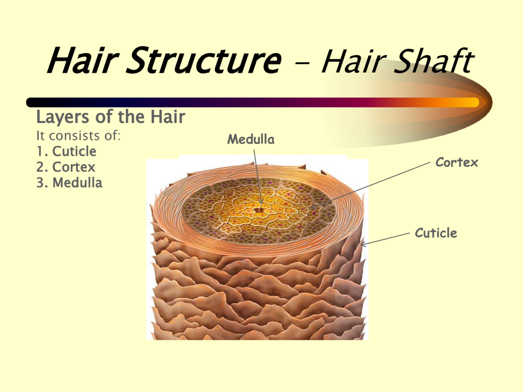 Hair structure