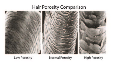 porosity-1